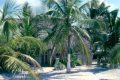 San Blas Islands-Panama: immagini dai Tropici (video)