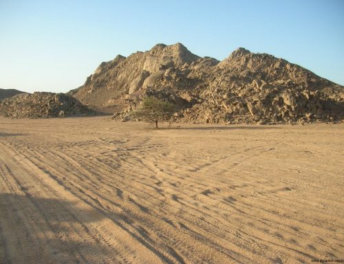 Escursione in quad nel deserto a Marsa Alam (video)